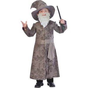 Costume - Wise Wizard (7-8 yrs)